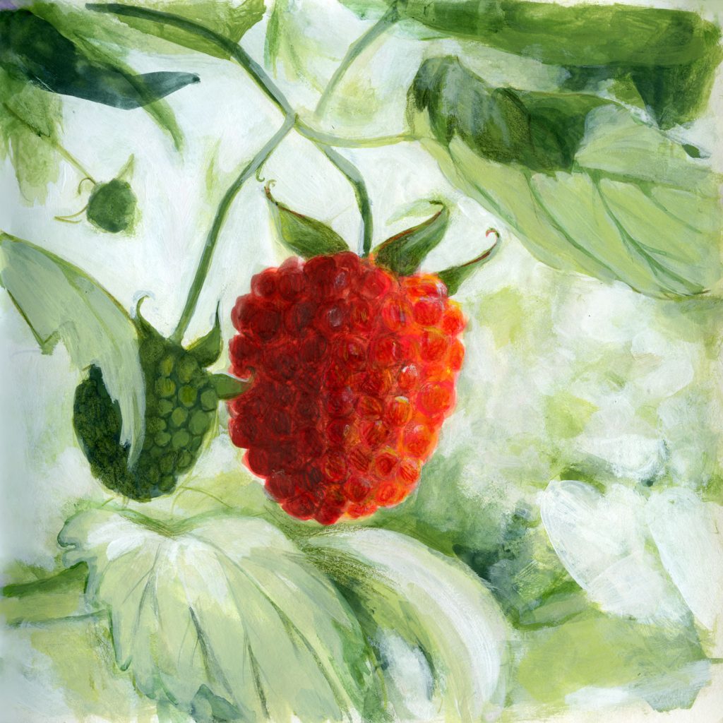 A painting of a bright red Raspberry, and unripe green raspberry, shadowed by tangled leaves