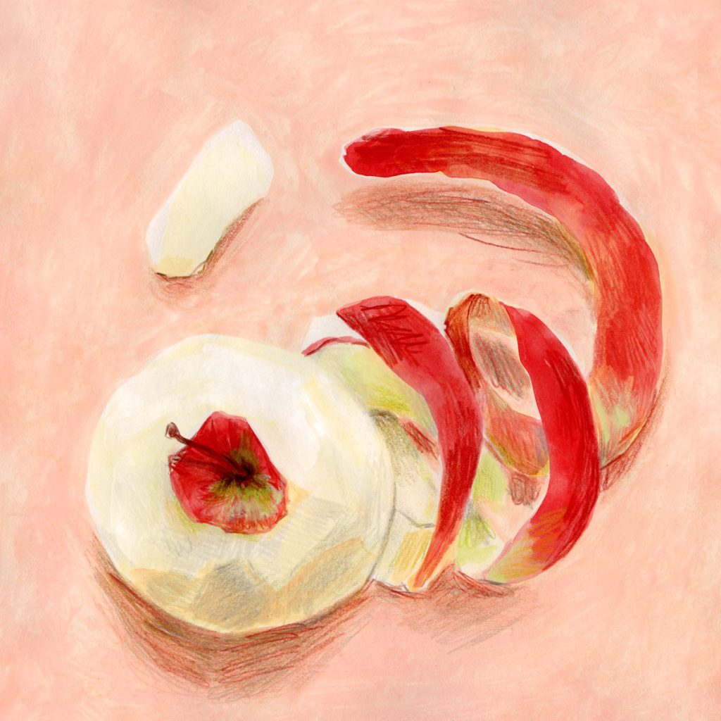 A painting of an apple and it's peel, in one long nearly perfect strip, on a pink background